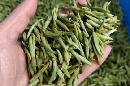 龍井茶好壞的鑒別圖片，如何區(qū)別龍井茶的好壞？