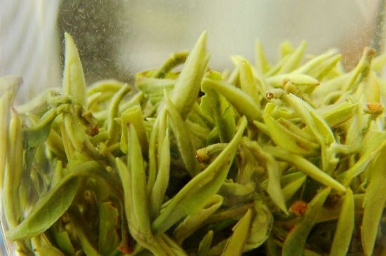 碧螺春為什么泡水渾濁，碧螺春茶葉泡水感覺很臟是混濁的