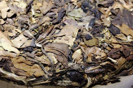 煮茶的步驟圖解，正確的煮白茶方法！