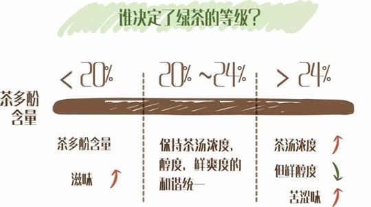 什么綠茶口味重口感濃郁，口味比較重的綠茶都有那些？