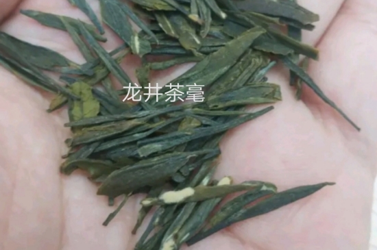 西湖龍井茶毫和發(fā)霉區(qū)別圖片，長(zhǎng)霉的龍井茶葉會(huì)是什么樣？