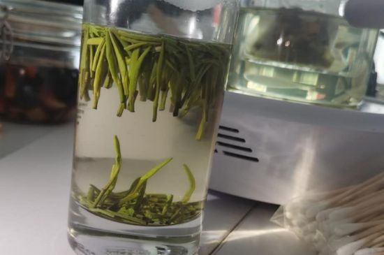 金壇雀舌算不算好茶，金壇雀舌屬于什么檔次茶葉？