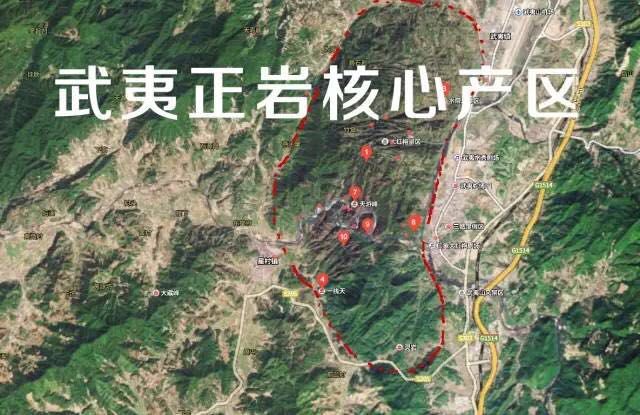 武夷山為什么盛產(chǎn)茶葉，武夷山茶為什么好喝？