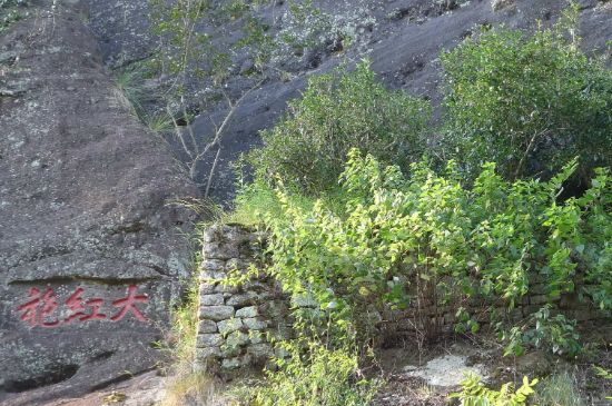 母樹大紅袍給誰喝了，為什么母樹大紅袍叫三棵六株？