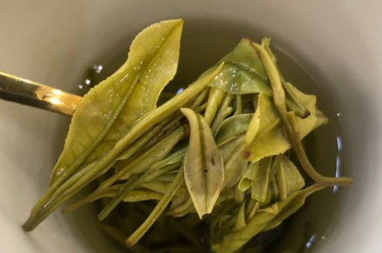 新舊白茶怎么區(qū)分，怎么分辨白茶是新還是舊