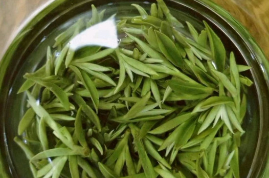 什么綠茶茶葉唇齒留香，哪個品種綠茶香氣好？