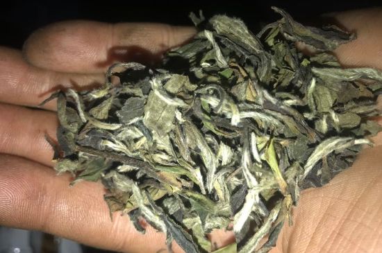 7年壽眉和2年白牡丹哪個好，老白茶壽眉與白牡丹的口感區(qū)別