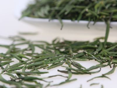 霍山黃芽算是好茶嗎，霍山黃芽屬于什么茶？