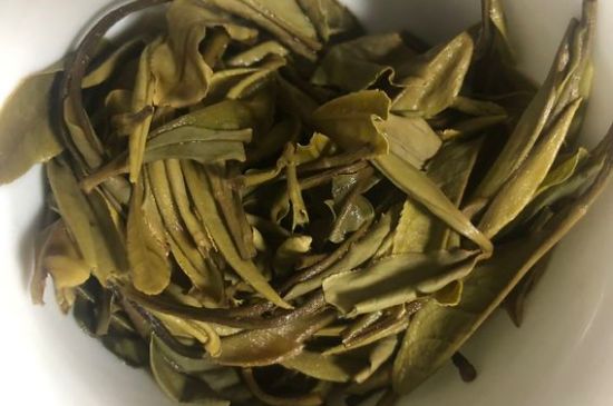三年白茶賽砒霜，這是真的嗎？