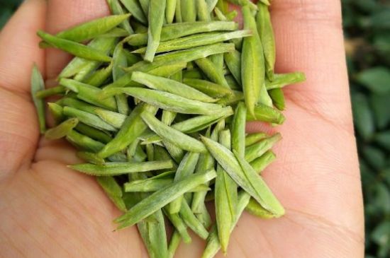 什么綠茶味道濃香，那個綠茶比較濃香？