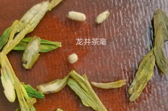 西湖龍井茶毫和發(fā)霉區(qū)別圖片，長(zhǎng)霉的龍井茶葉會(huì)是什么樣？