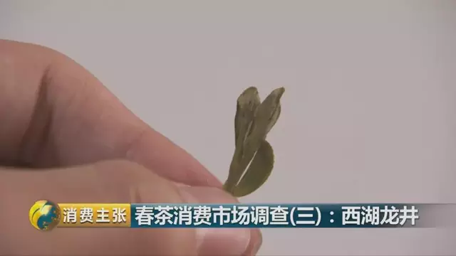龍井群體種和43號的區(qū)別圖片，龍井43和群體種哪個好喝？