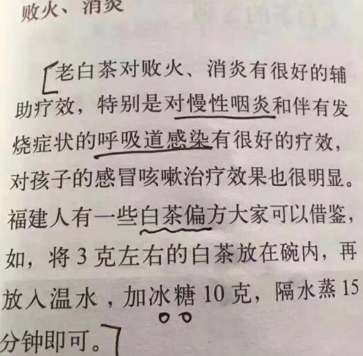 老白茶上火還是去火？夏季喝煮的老白茶會容易上火！