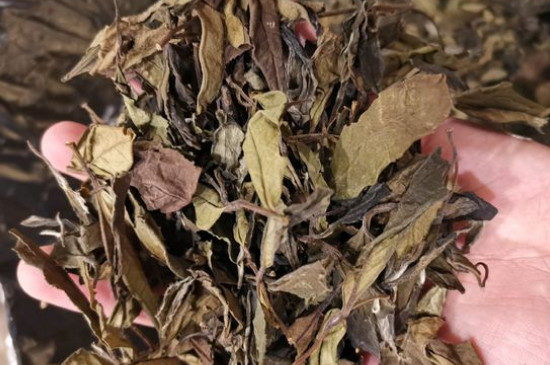 新舊白茶怎么區(qū)分，怎么分辨白茶是新還是舊