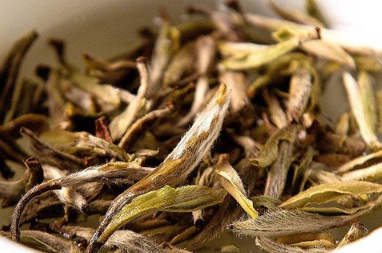 荒野銀針市場(chǎng)價(jià)多少，真正的荒野白毫銀針多少錢？
