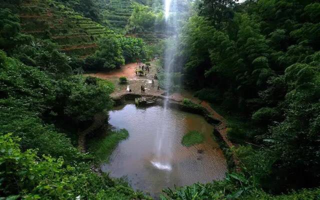武夷山為什么盛產(chǎn)茶葉，武夷山茶為什么好喝？
