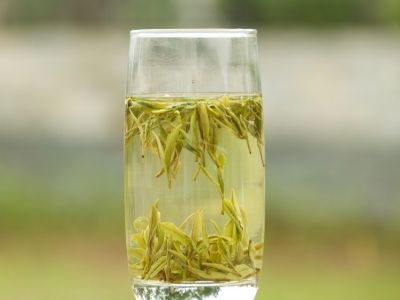 霍山黃芽算是好茶嗎，霍山黃芽屬于什么茶？