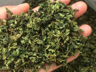 鐵觀音毛茶茶?？梢耘菟葐?，鐵觀音帶梗是不是好茶？