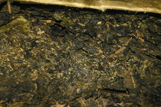 黑茶茯茶保存五大忌，茯茶收藏的注意事項(xiàng)