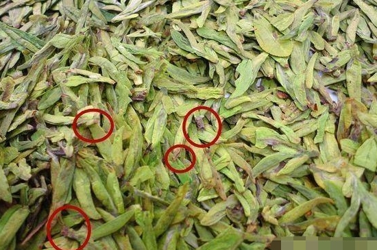 烏牛早和龍井的區(qū)別圖片，龍井43號(hào)和烏牛早茶的對(duì)比