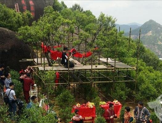 宋種一號價值為什么高，鳳凰單樅宋種1號價格與產(chǎn)量多少？
