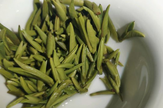 竹葉青茶怎么泡，竹葉青如何沖泡
