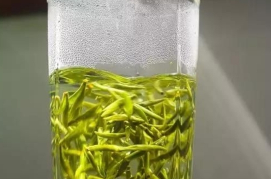 西湖龍井茶毫和發(fā)霉區(qū)別圖片，長(zhǎng)霉的龍井茶葉會(huì)是什么樣？