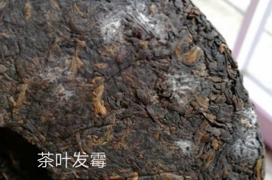 西湖龍井茶毫和發(fā)霉區(qū)別圖片，長(zhǎng)霉的龍井茶葉會(huì)是什么樣？
